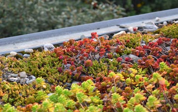 the cost of Printstile green roof installation