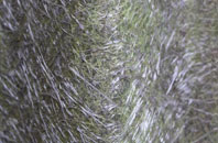 Printstile fibreglass roof work