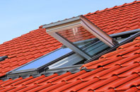 Printstile roof window